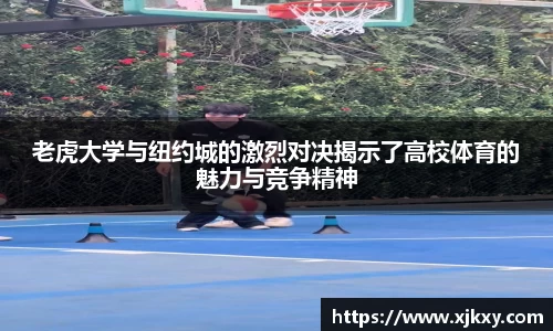 三亿体育登录入口
