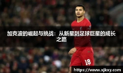 三亿体育登录入口